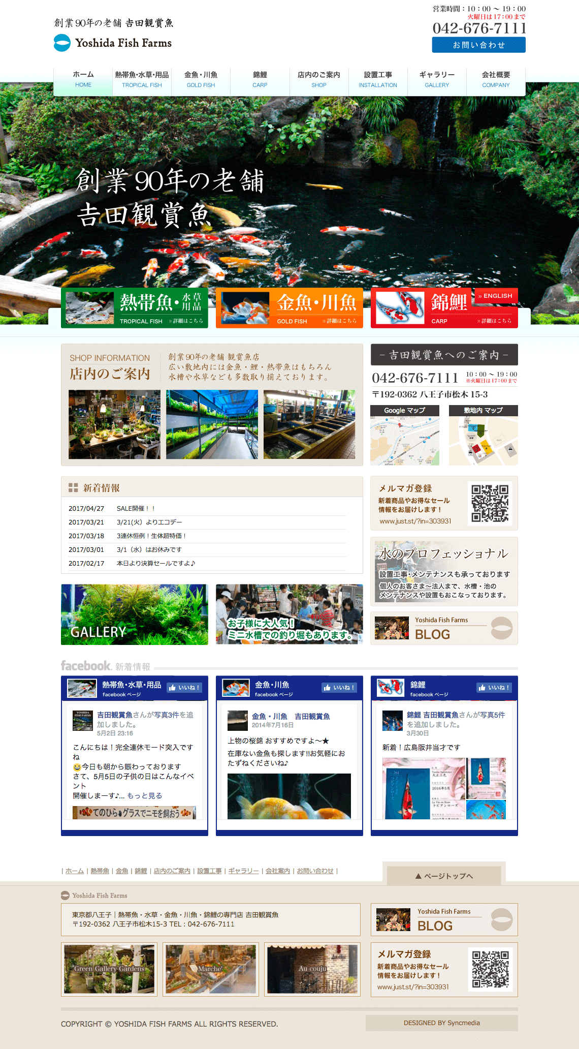 制作事例（WEB・印刷・動画・イラスト）：吉田鑑賞魚 | 店舗サイト制作