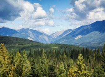 シンクメディアジャーナル：2020年 夏季休暇のお知らせ