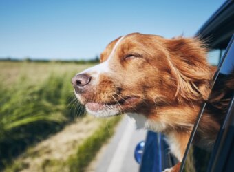 シンクメディアジャーナル：ゴールデンウィーク休業期間のお知らせ