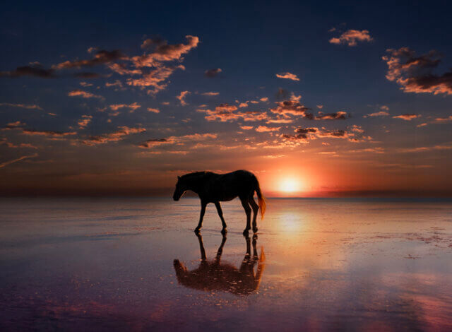 年末年始休業のお知らせ